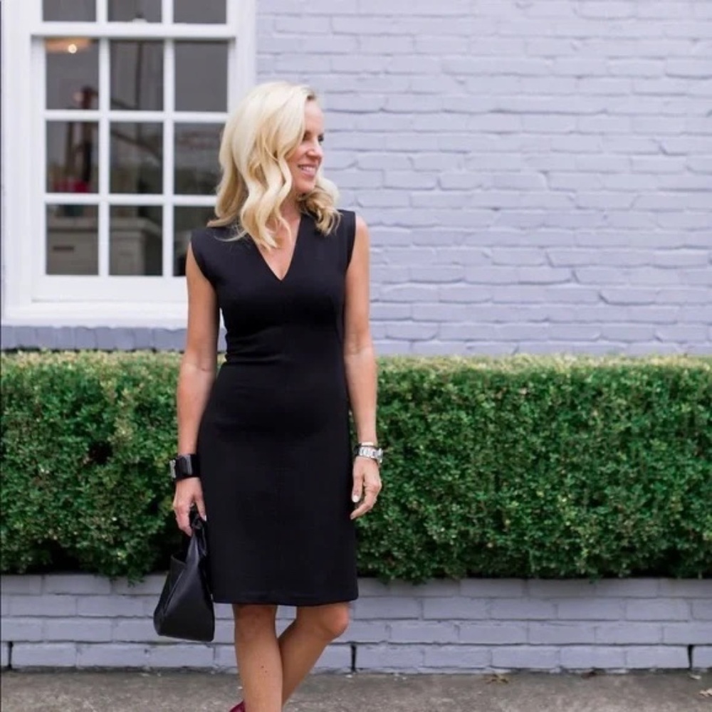 Everlane Sleeveless V-Neck Fittec Dress Black 2 EUC LBD